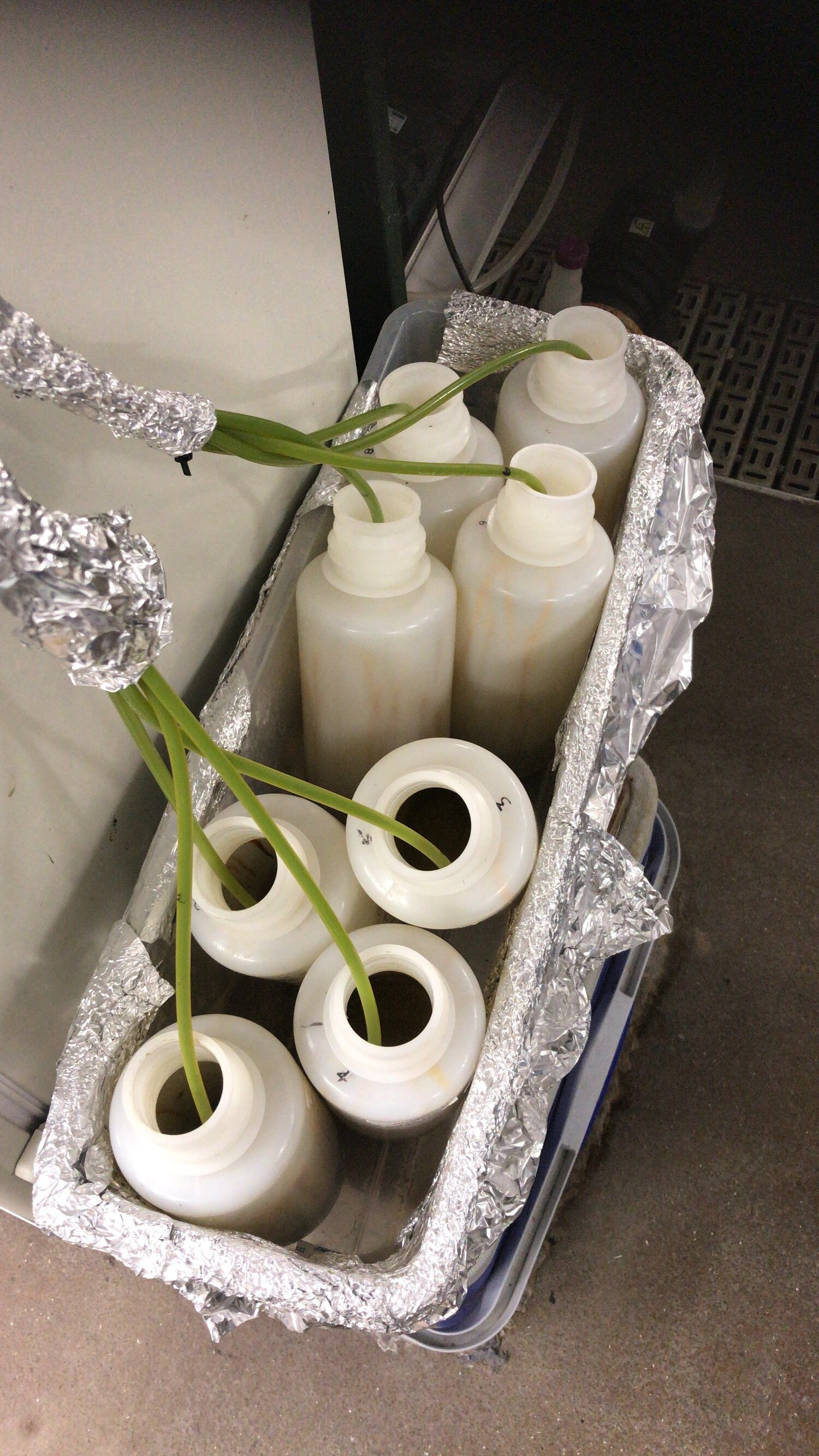 Pilot-Lab Research-Wastewater