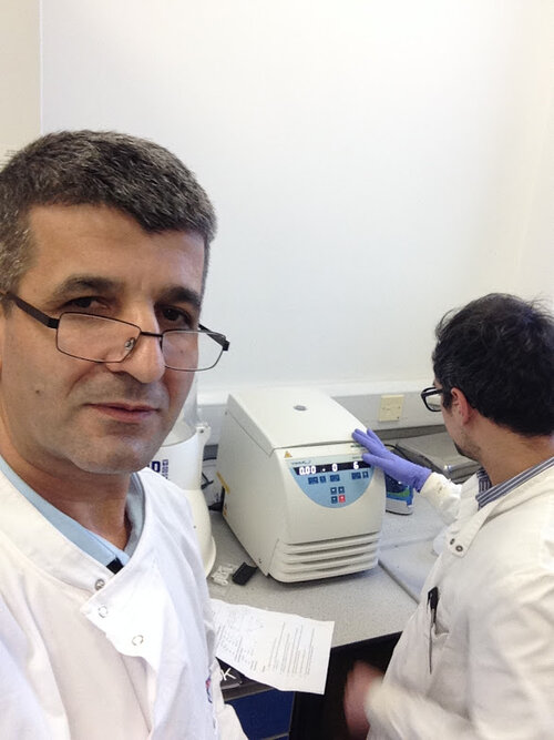 DNA Sequencing & Bioinformatics