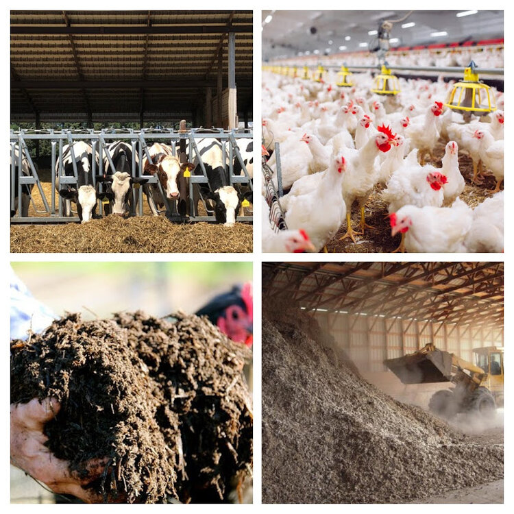 Cow Dung & Poultry Manure Managements 