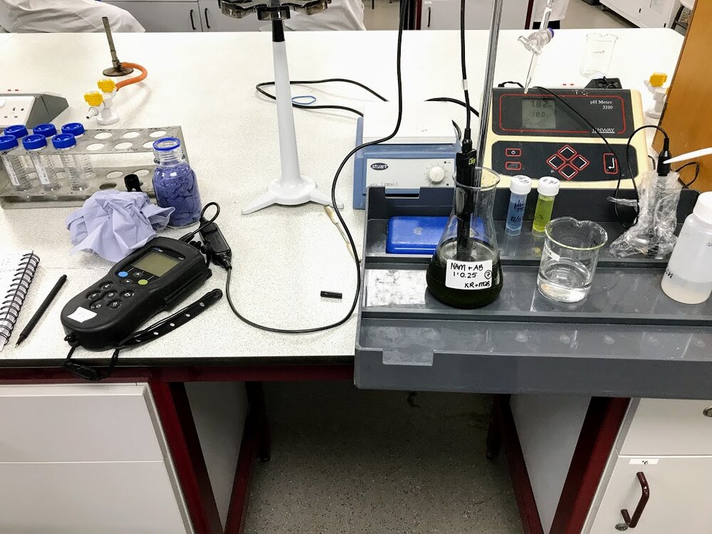 Sampling and Laboratory Analysis