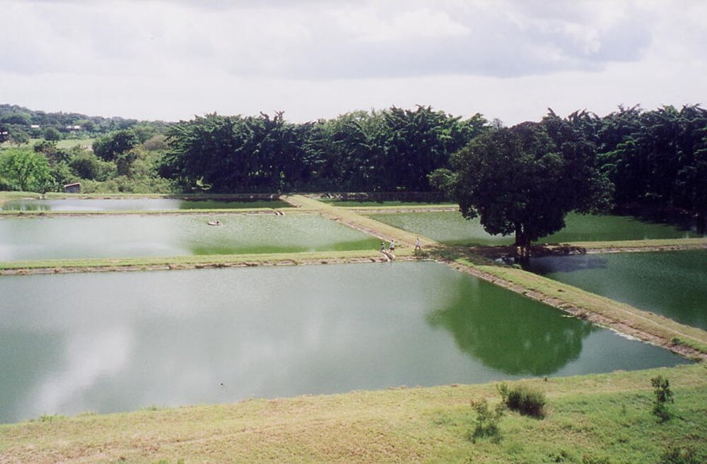 Waste Stabilisation Ponds
